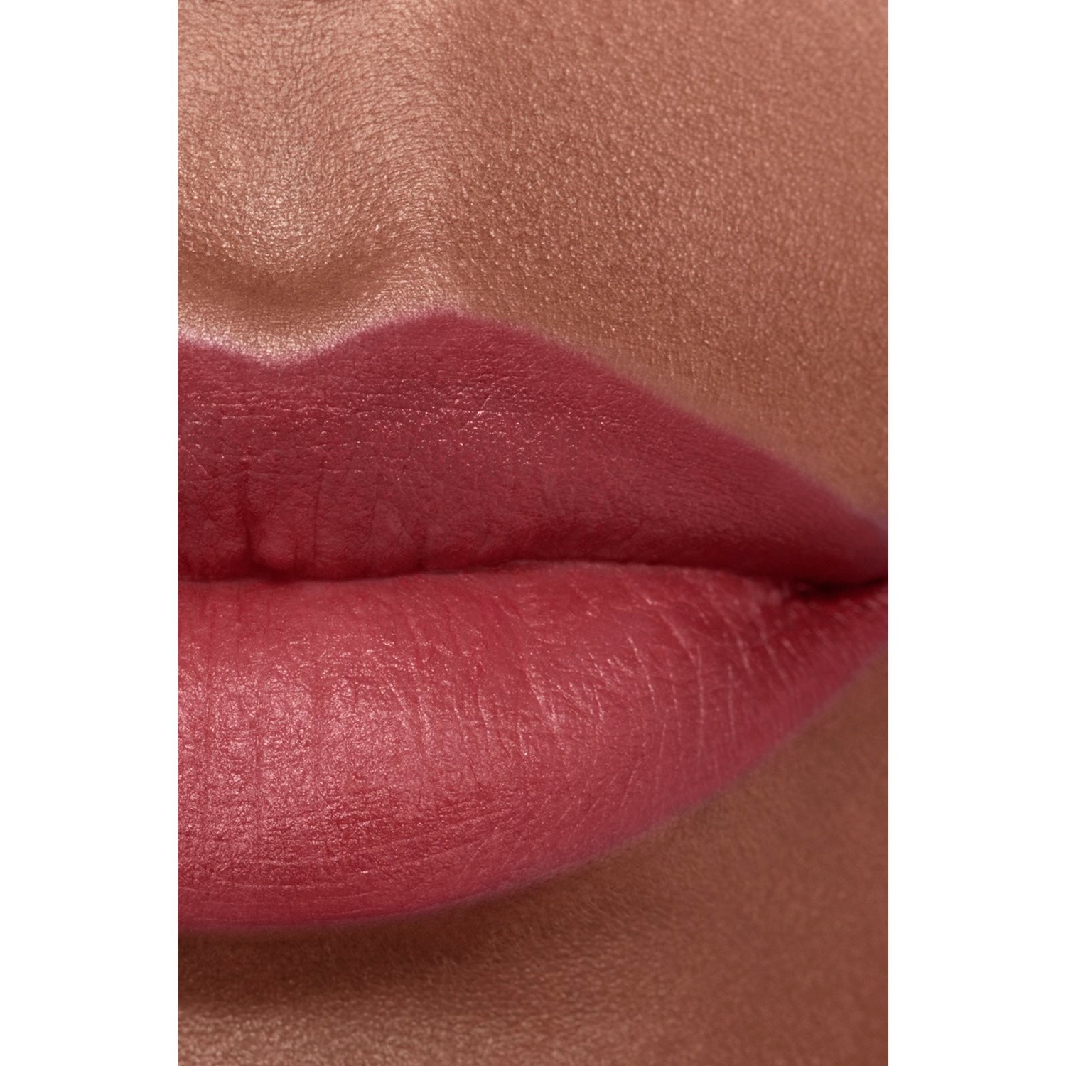 LA BARRA DE LABIOS ATERCIOPELADA LUMINOSA
